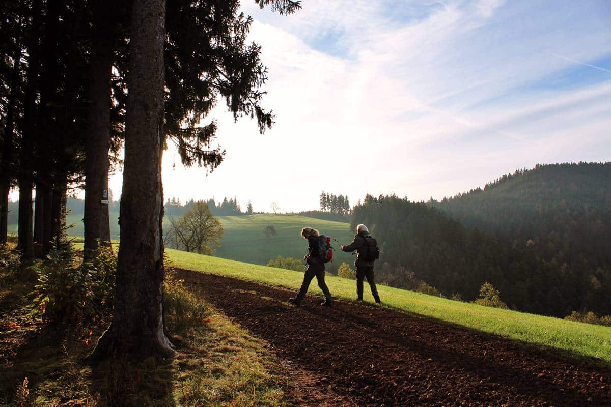 Wanderweg auf die Hark