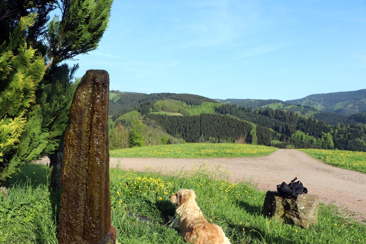Sieben-Täler-Weg Oberharmersbach